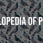 encyclopedia of pigeon breeds