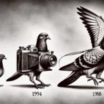 Photography of Show Pigeons